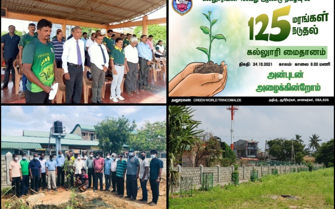 College Celebrates 125th Anniversary by Planting 125 Trees, Fostering Environmental Awareness