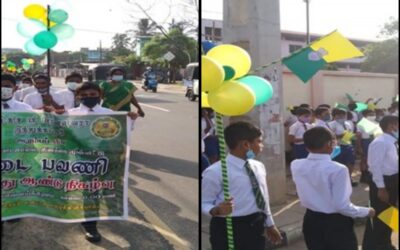 College Day Kiddies Walk: A Vibrant Tribute to National School Day